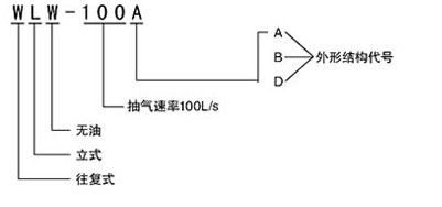 WLW往復(fù)泵型號說明