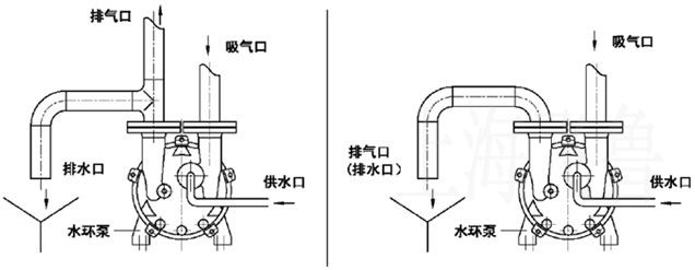 SK真空泵結(jié)構(gòu)圖
